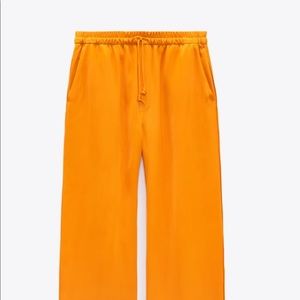 Zara 2022 Pant and Blazer NWT